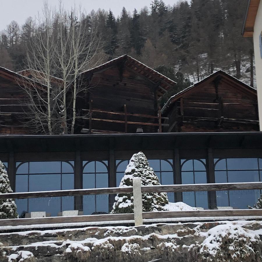 Petit Appart De Charme Eau Chaude Solaire Renovation 2021 Wifi Disponible Belvedere 5 Saint-Luc Exterior foto